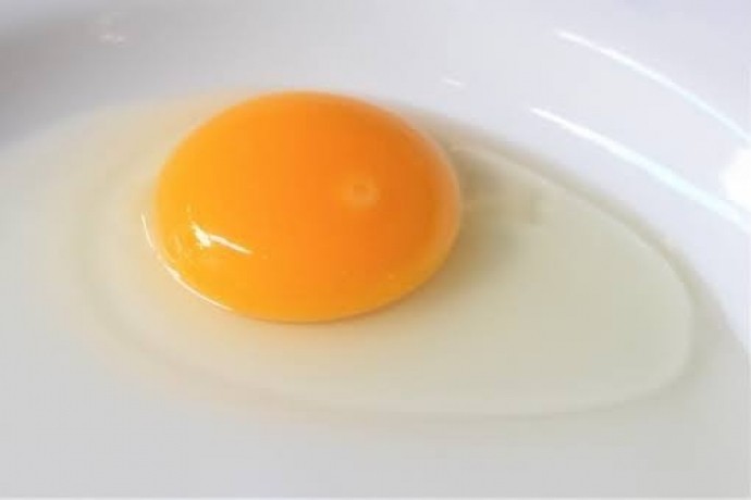 【完全栄養食！卵でダイエットを効率よく？！】